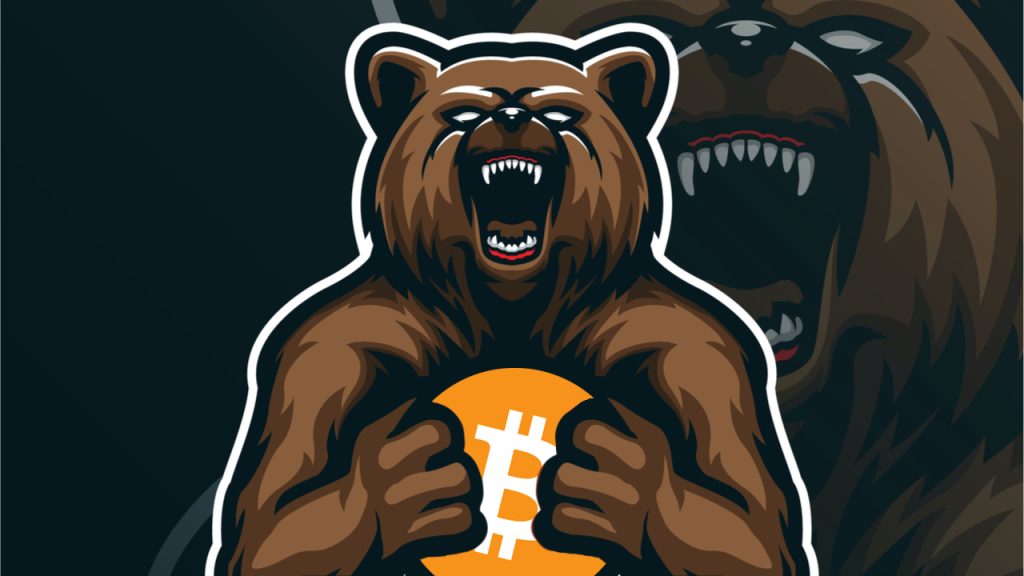 Kripto Ayı Piyasası Nedir ?